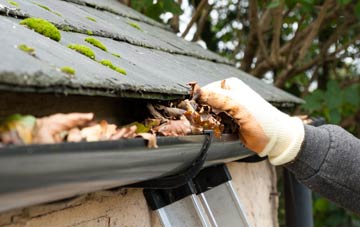 gutter cleaning Holway
