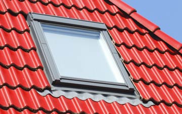 roof windows Holway